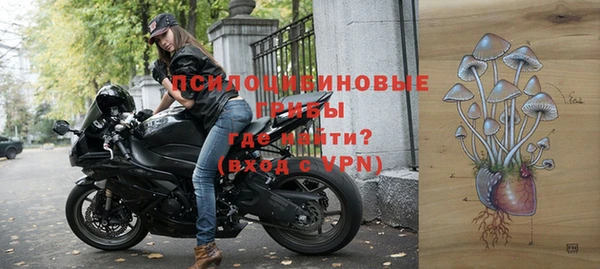 прущие крисы Абинск