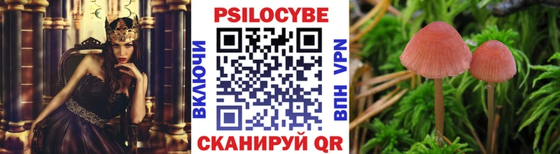 Псилоцибиновые грибы Cubensis  дарк нет наркотические препараты  Северодвинск 