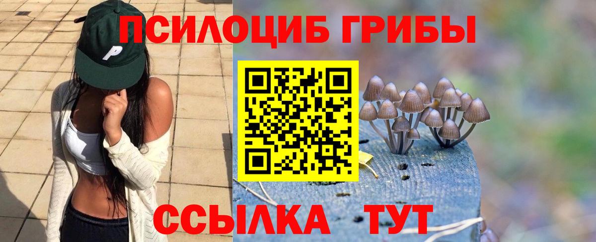Северодвинск  Галлюциногенные грибы Cubensis  Вход с VPN  купить  сайты  Псилоцибиновые грибы прущие грибы 